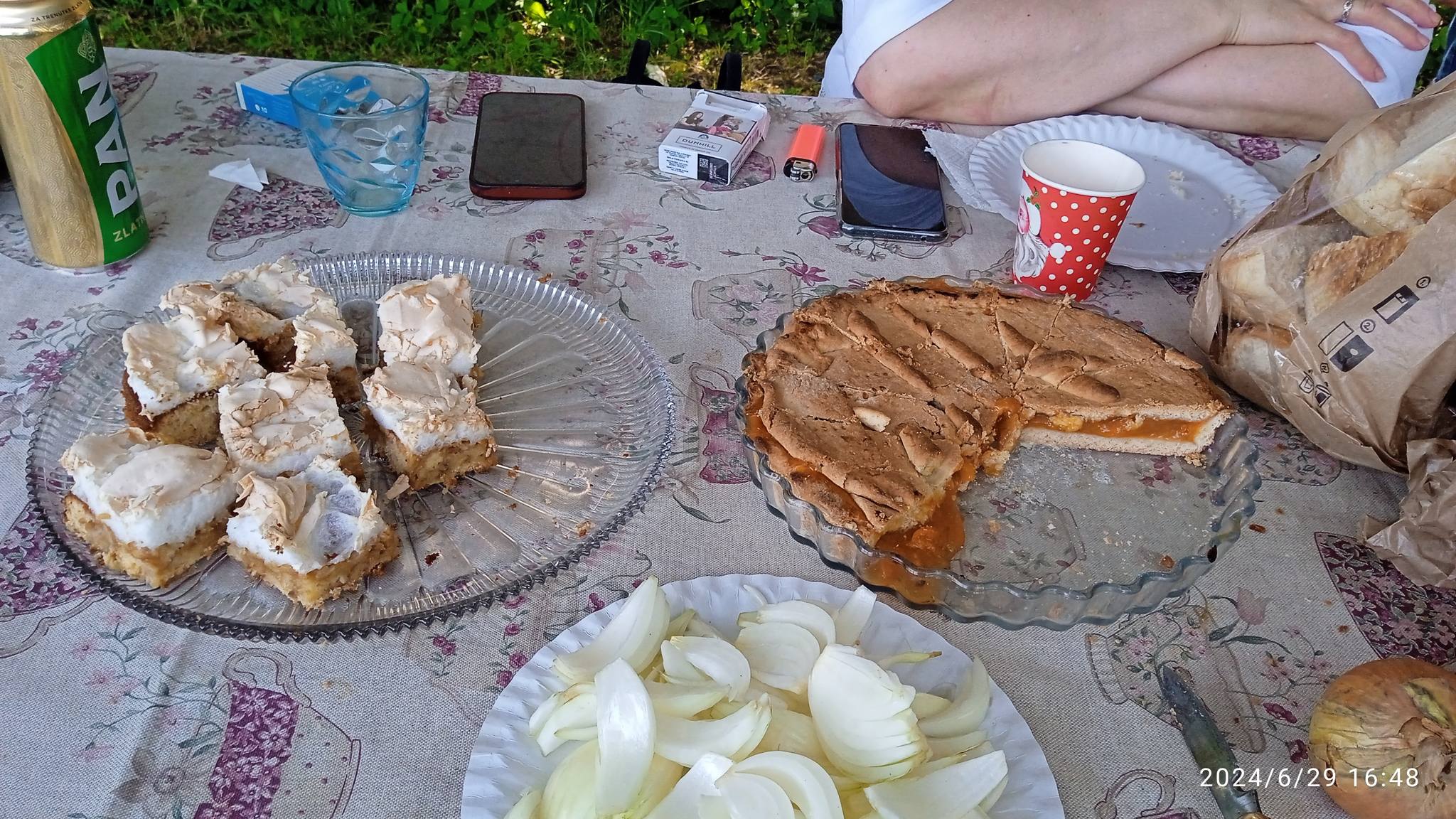 Tradicionalna proljetna roštiljada - 2024 - slika 4